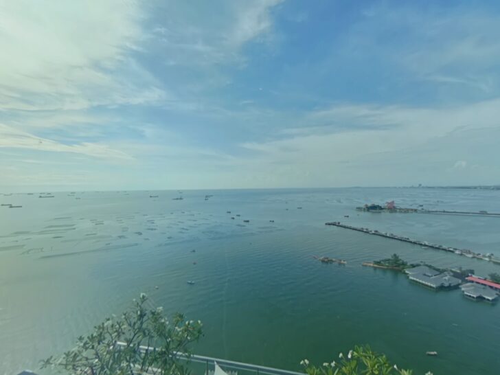 Marina Bayfront Sriracha