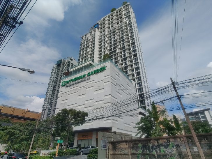 Siamese Exclusive 42