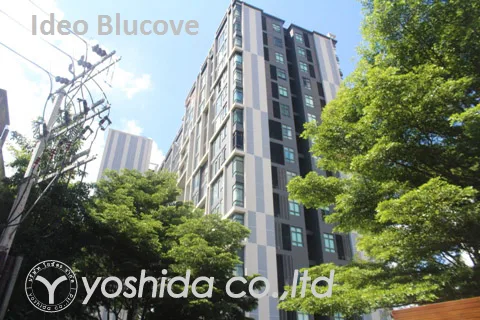 Ideo Blucove